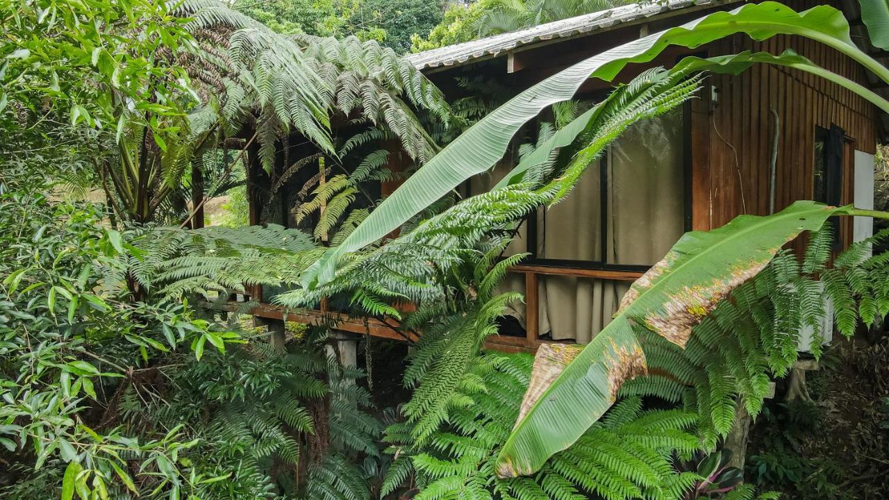 Cabanas Del Lago La Fortuna Bagian luar foto