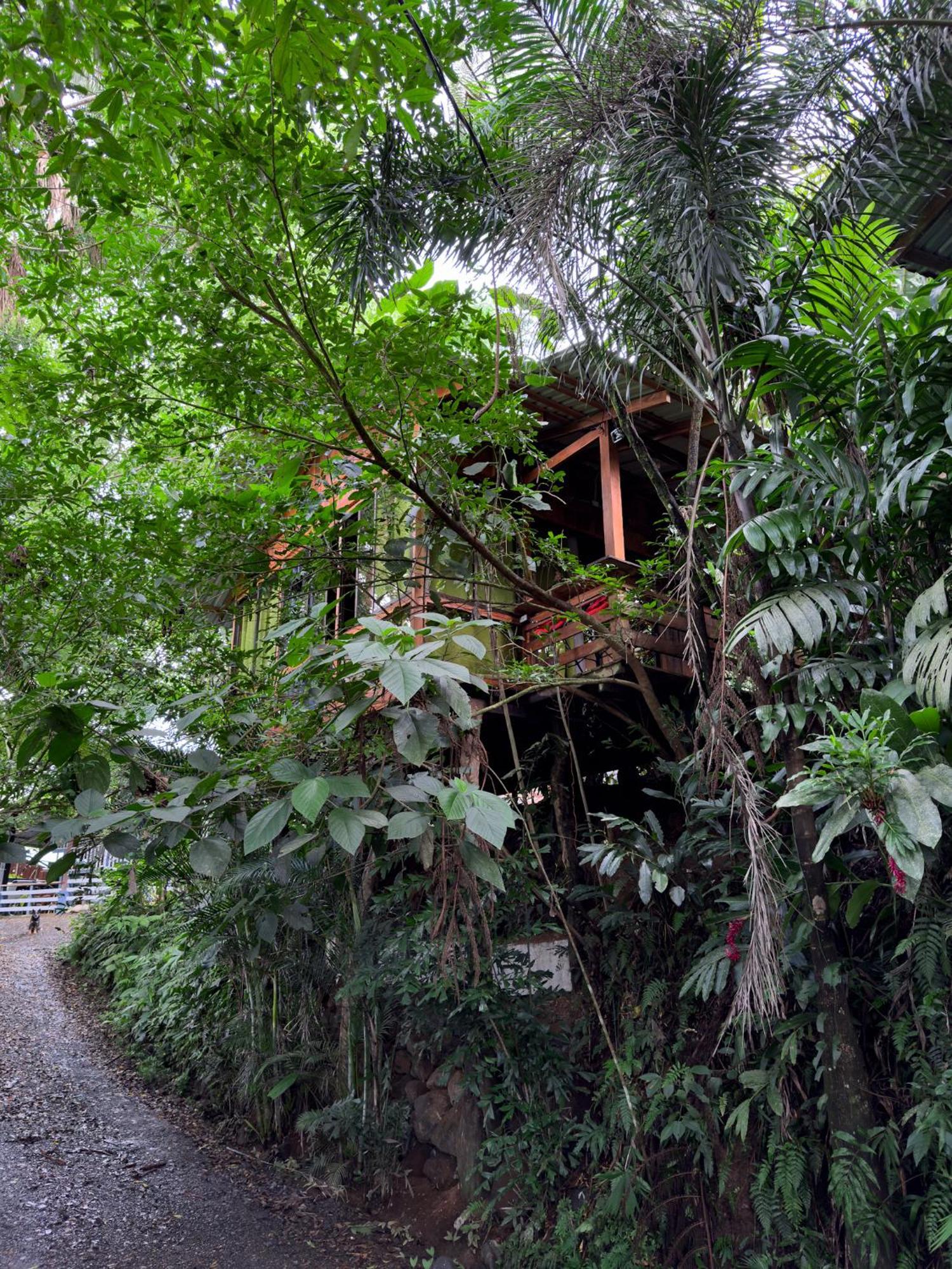 Cabanas Del Lago La Fortuna Bagian luar foto